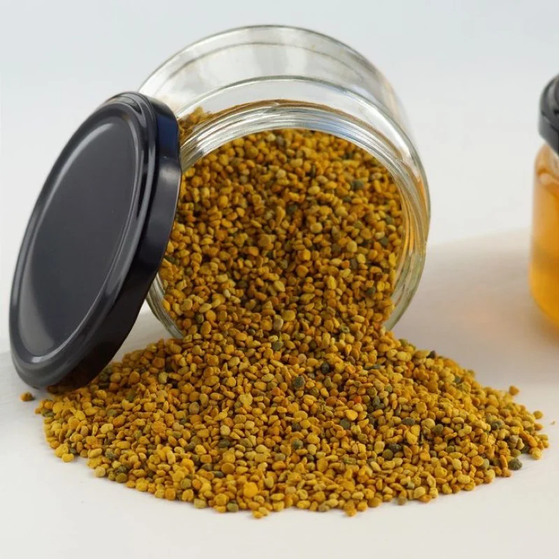 Phấn hoa macca Phố Núi