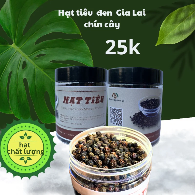 Hạt tiêu Gia Lai chín cây